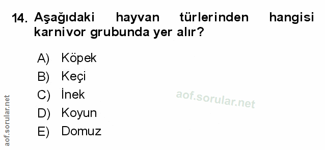 Soru 14