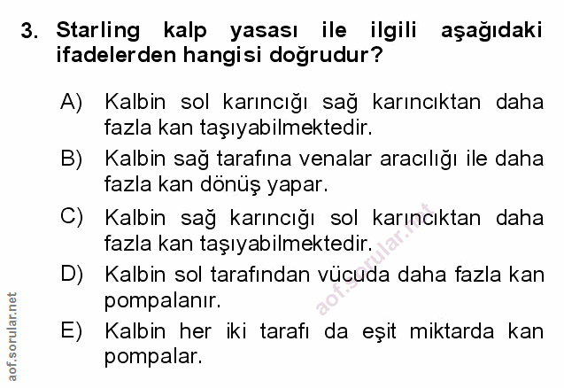 Soru 3