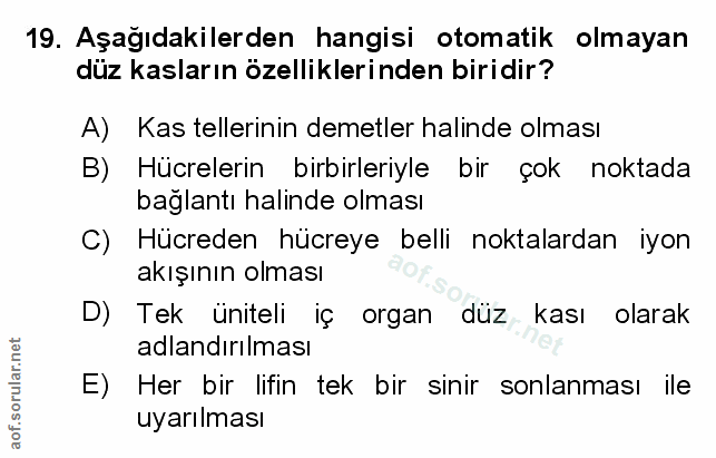 Soru 19