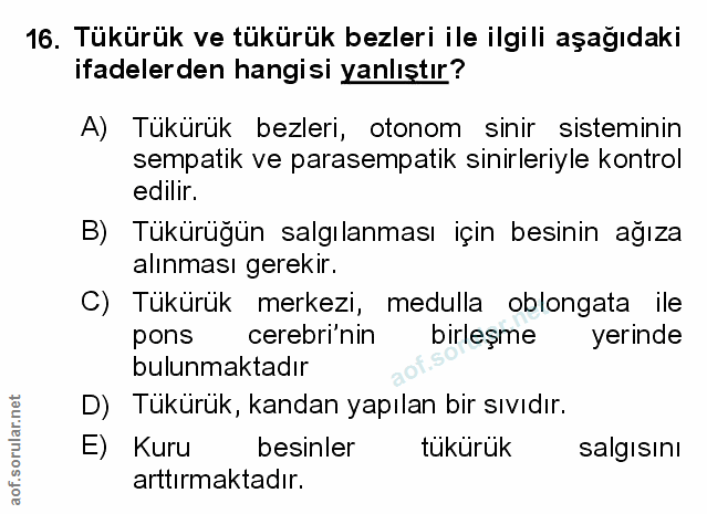 Soru 16