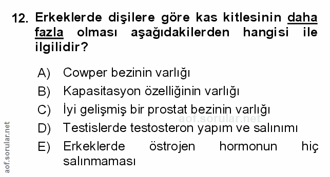 Soru 12