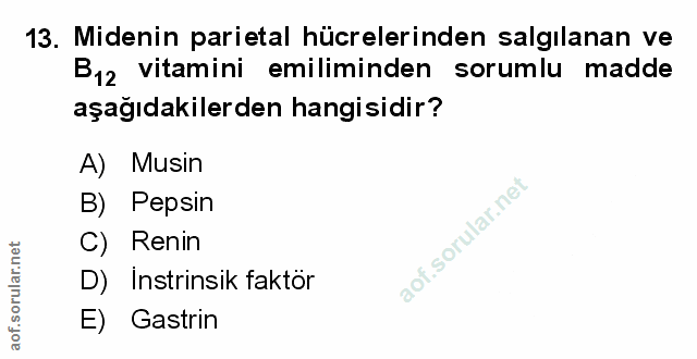 Soru 13