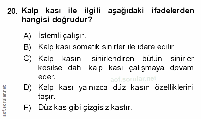 Soru 20