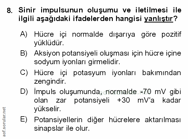 Soru 8