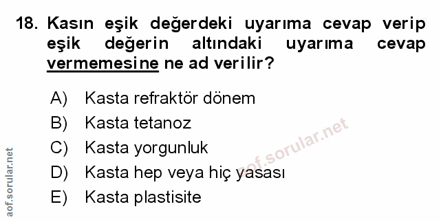 Soru 18