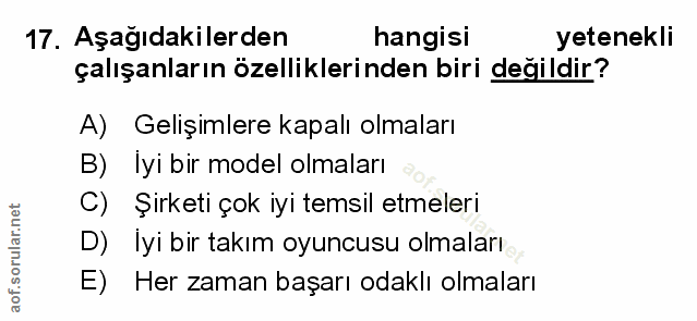 Soru 17