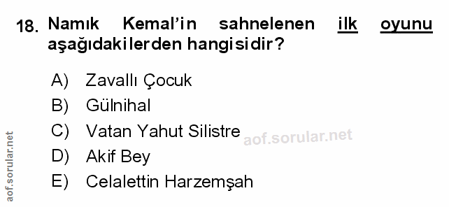 Soru 18