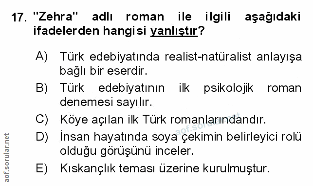 Soru 17