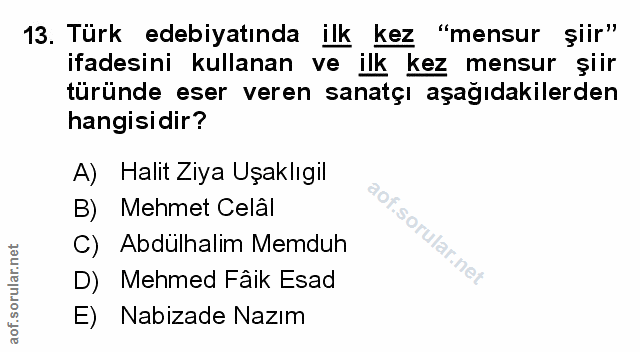 Soru 13