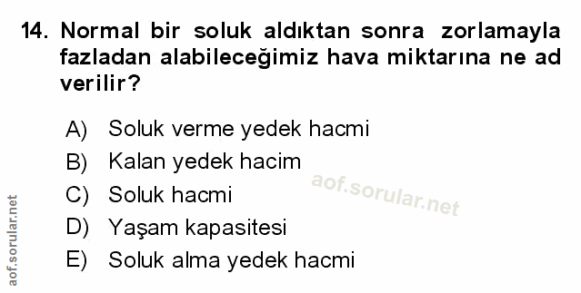 Soru 14