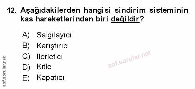 Soru 12