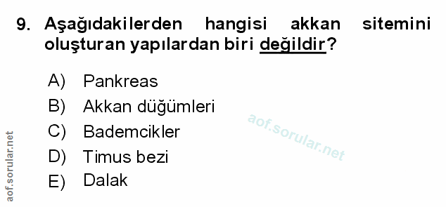 Soru 9