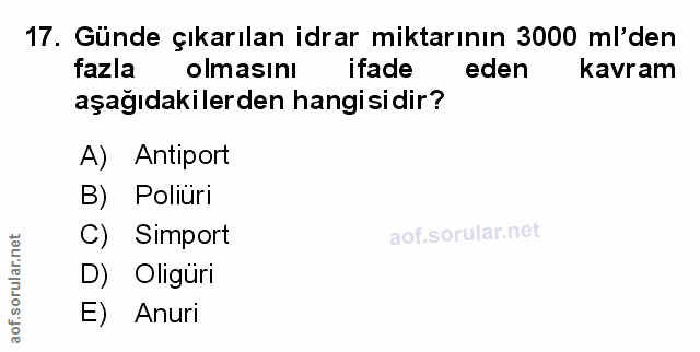 Soru 17