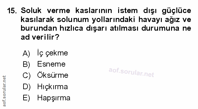 Soru 15