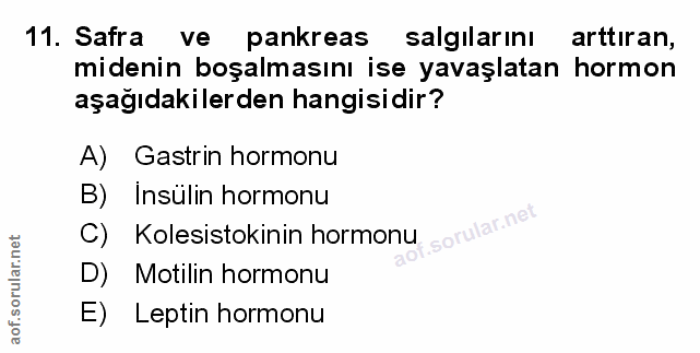 Soru 11