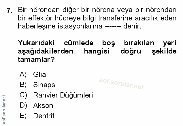 Soru 7