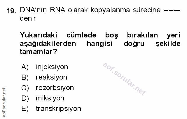Soru 19