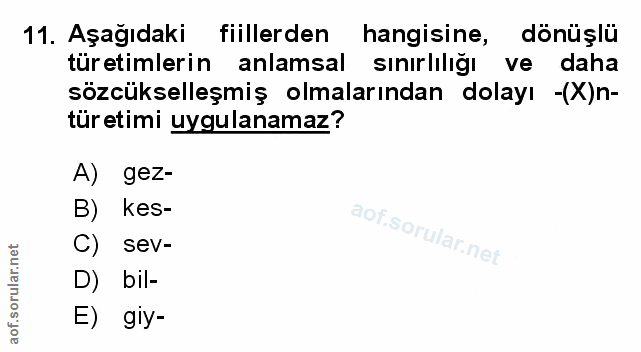 Soru 11