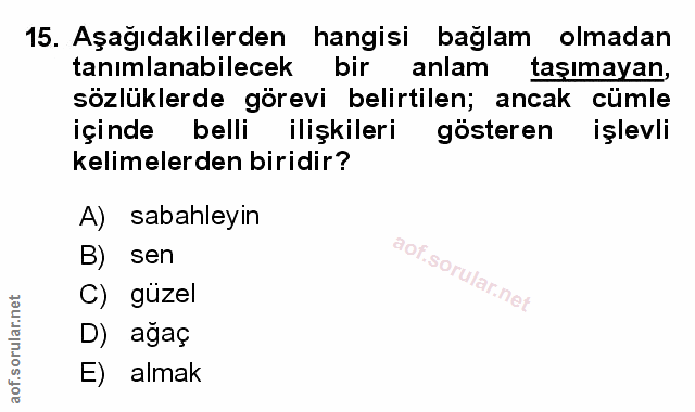 Soru 15