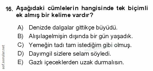 Soru 16