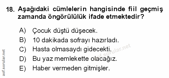 Soru 18