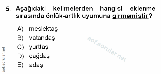 Soru 5