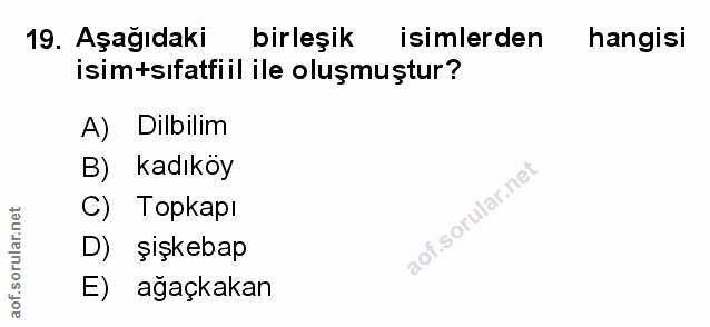 Soru 19