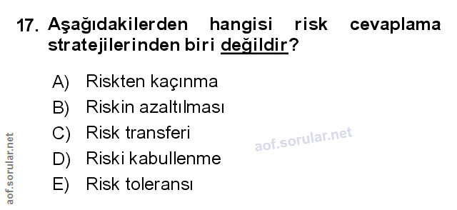 Soru 17