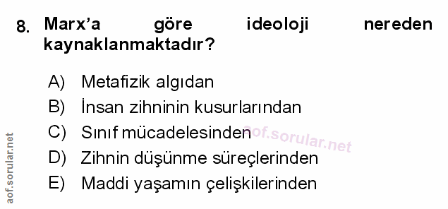 Soru 8