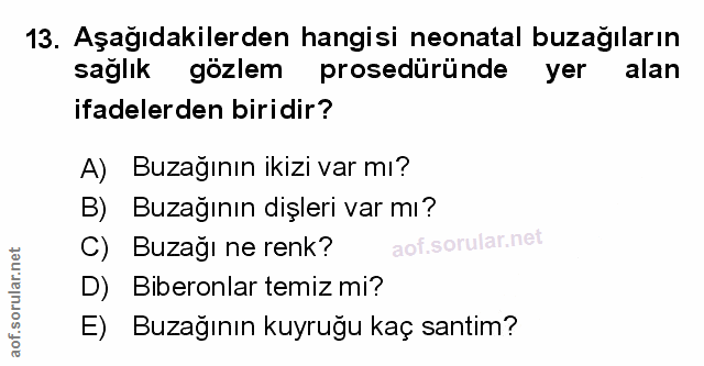 Soru 13