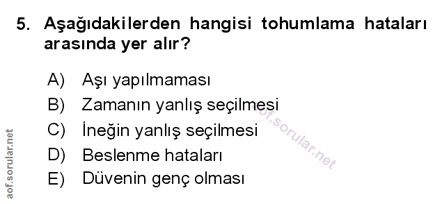 Soru 5