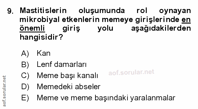 Soru 9
