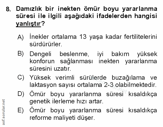 Soru 8
