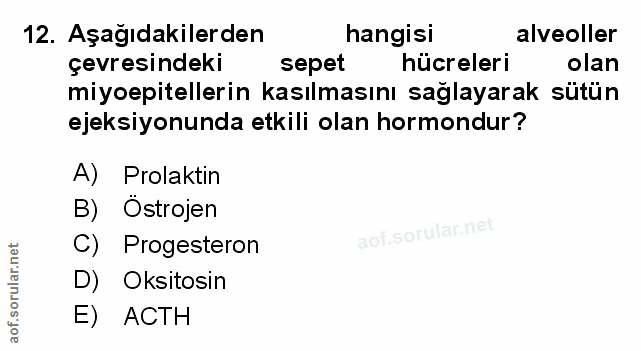 Soru 12