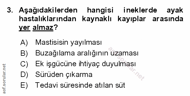 Soru 3
