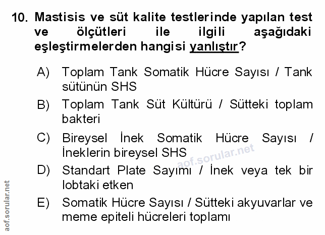 Soru 10