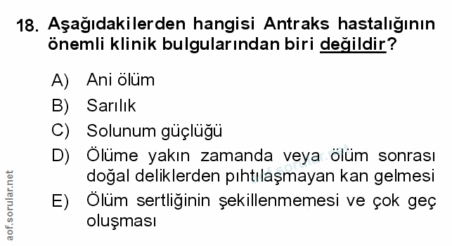Soru 18