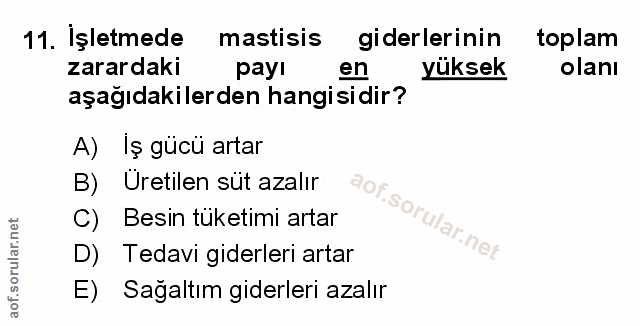 Soru 11