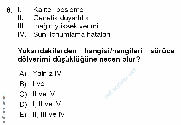 Soru 6