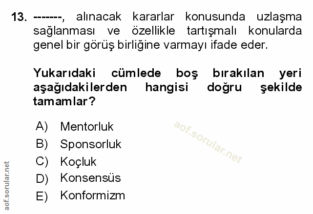 Soru 13