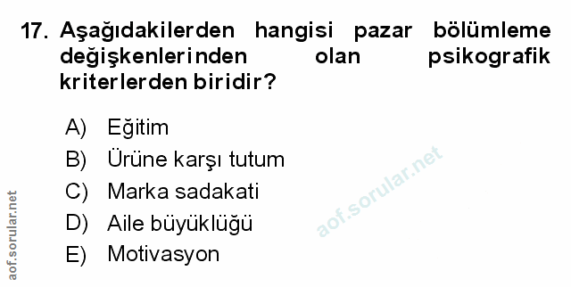 Soru 17