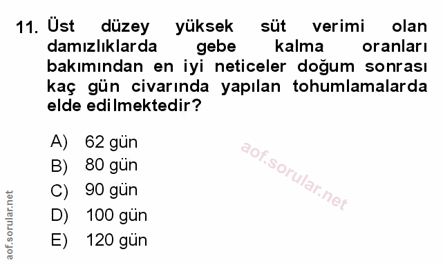 Soru 11
