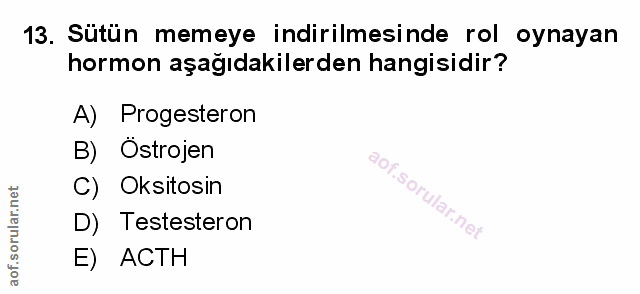 Soru 13