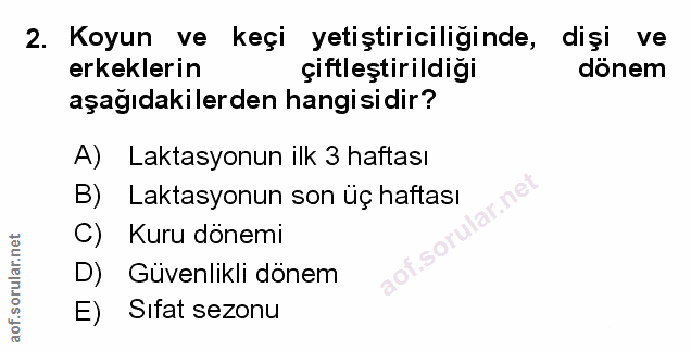 Soru 2