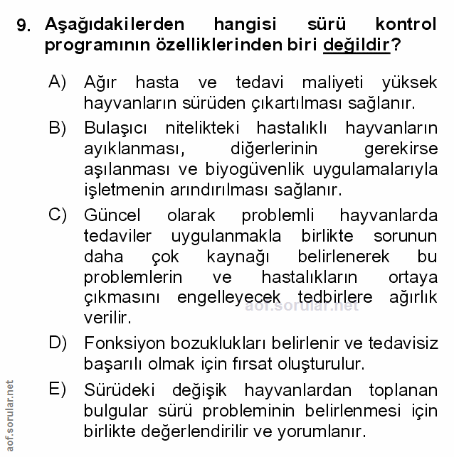 Soru 9