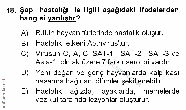 Soru 18