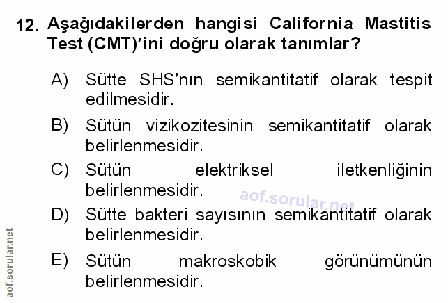 Soru 12