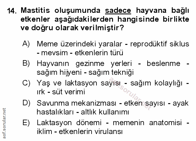 Soru 14