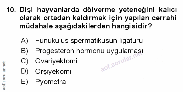 Soru 10
