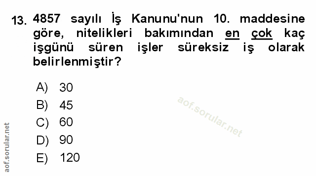 Soru 13
